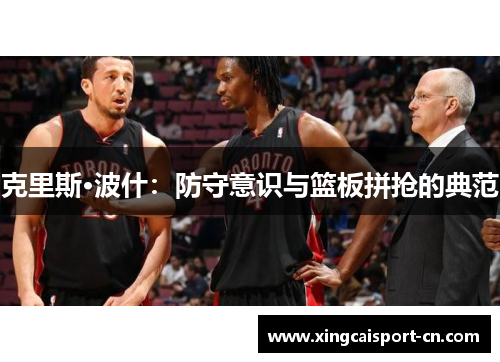 克里斯·波什：防守意识与篮板拼抢的典范