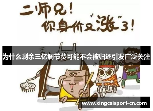 为什么剩余三亿调节费可能不会被归还引发广泛关注