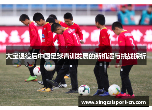 大宝退役后中国足球青训发展的新机遇与挑战探析