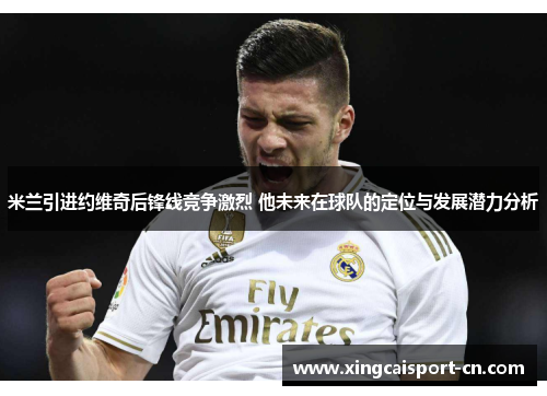 米兰引进约维奇后锋线竞争激烈 他未来在球队的定位与发展潜力分析