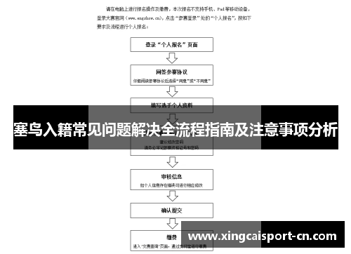 塞鸟入籍常见问题解决全流程指南及注意事项分析