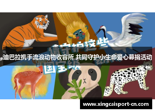 迪巴拉携手流浪动物收容所 共同守护小生命爱心募捐活动 迪巴拉携手流浪动物收容所 共同守护小生命爱心募捐活动